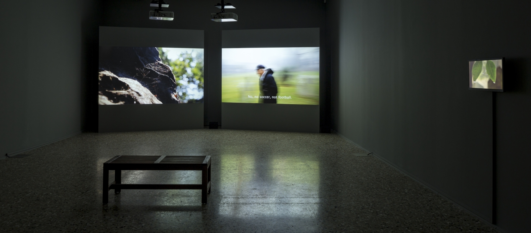 Large Image (installation view 2)